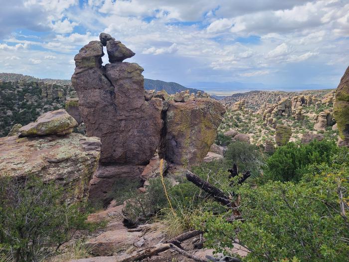 View from Massai PointMassai Point offers excellent views of the standing rocks at Chiricahua