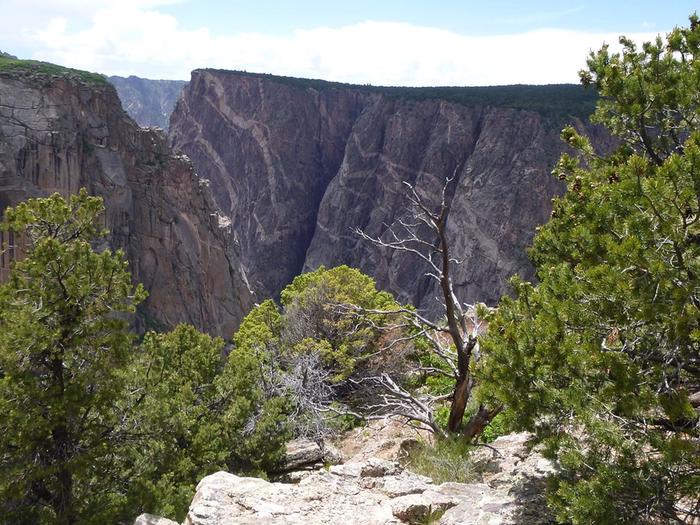 A view of the canyon from from Chasm View Nature Trail framed by juniper and pinyonA view of the canyon from from Chasm View Nature Trail