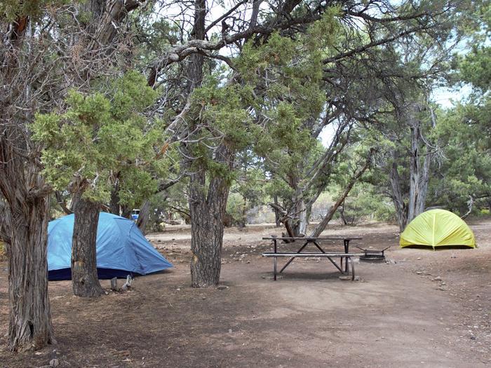 A picnic table between two tents, one blue and one yellow, under the shade of pinyon pinesTents under the shade of pinyon pines at North Rim Campground