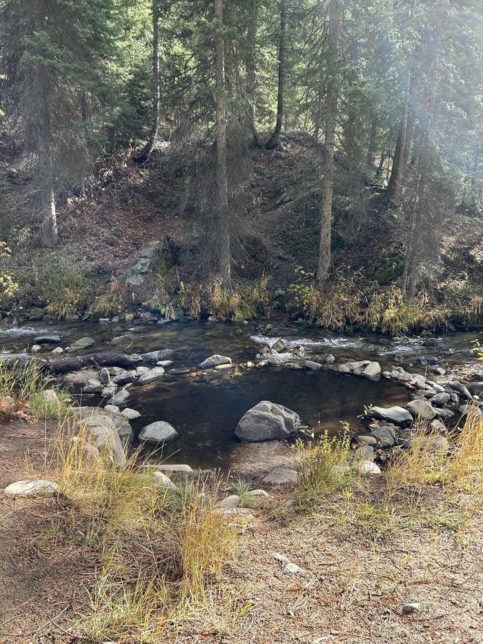 Creek surrounded by trees, brush, and grass.Creek access in Lower Ten Mile.