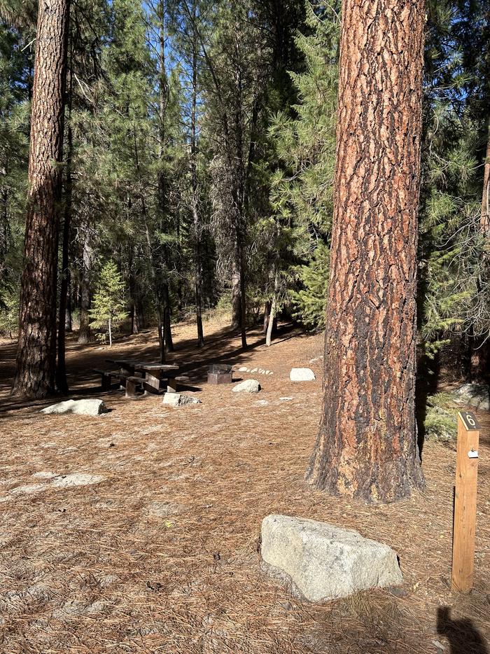 Dirt driveway/parking spot covered with pine needlesSite 6 parking 