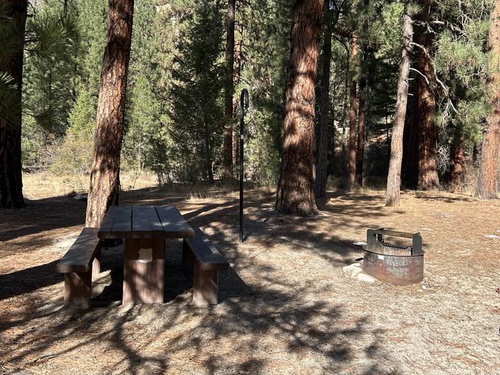 Campsite with picnic table, lantern hook, and fire ringBlack Rock Site 10