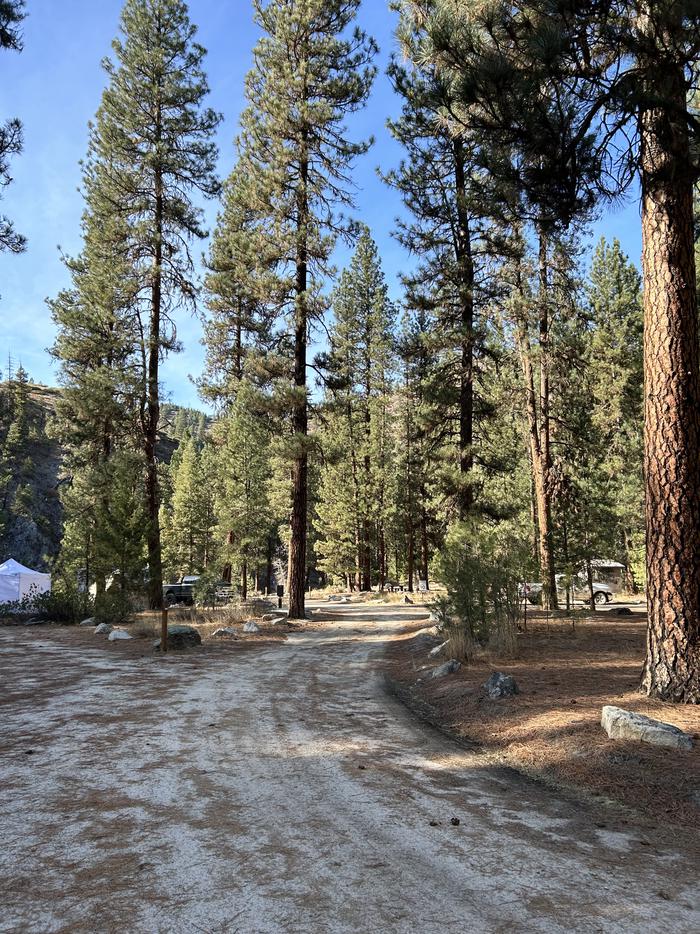 Long dirt road through campgroundMain drive through Black Rock Campground