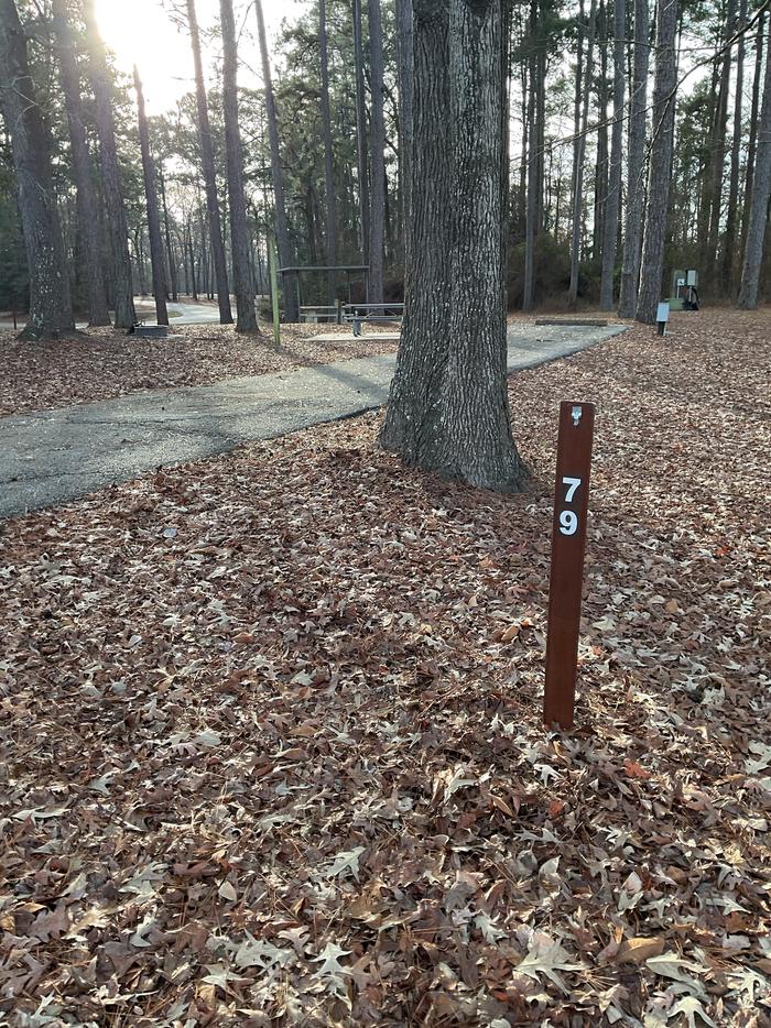 A photo of Site 79 of Loop LOOF at SAN AUGUSTINE with Picnic Table, Electricity Hookup, Fire Pit, Shade, Lantern Pole, Water Hookup