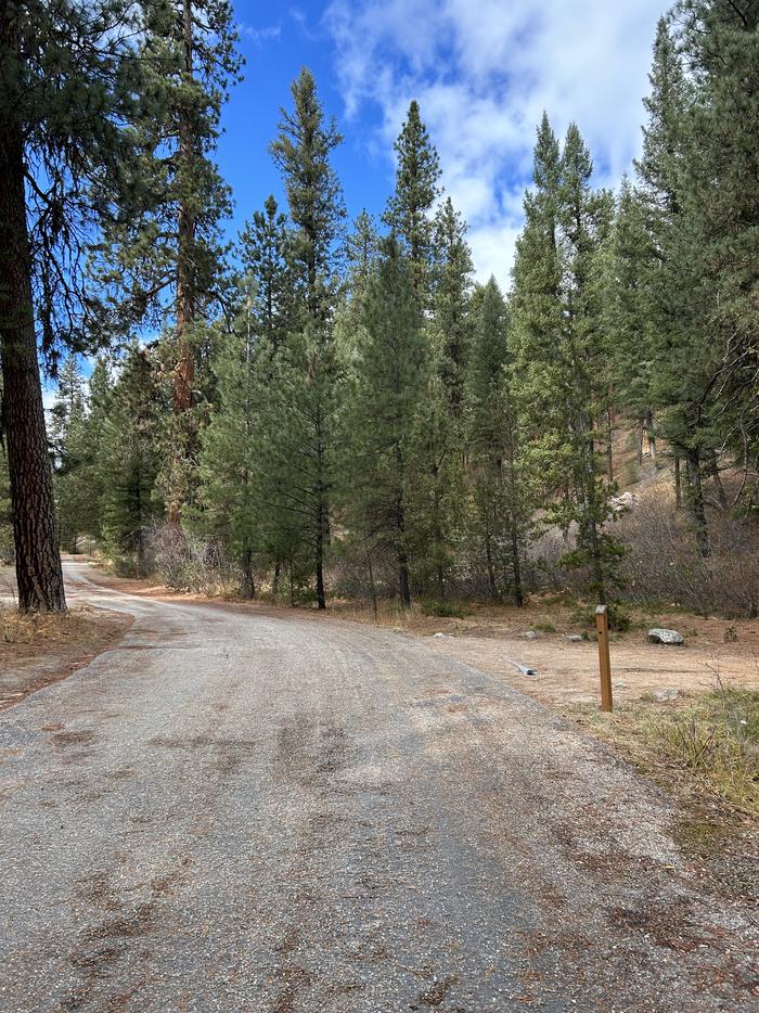 Long paved driveway through campgroundDriveway through Upper Ten Mile