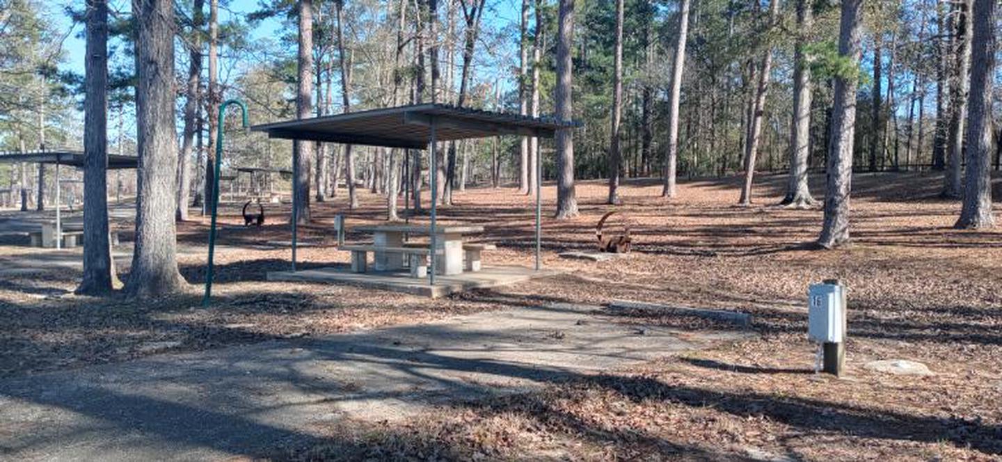 A photo of Site 16 of Loop LOOA at SAN AUGUSTINE with Picnic Table, Electricity Hookup, Water Hookup, Lantern Pole, Fire Pit, Lean To / Shelter, Shade