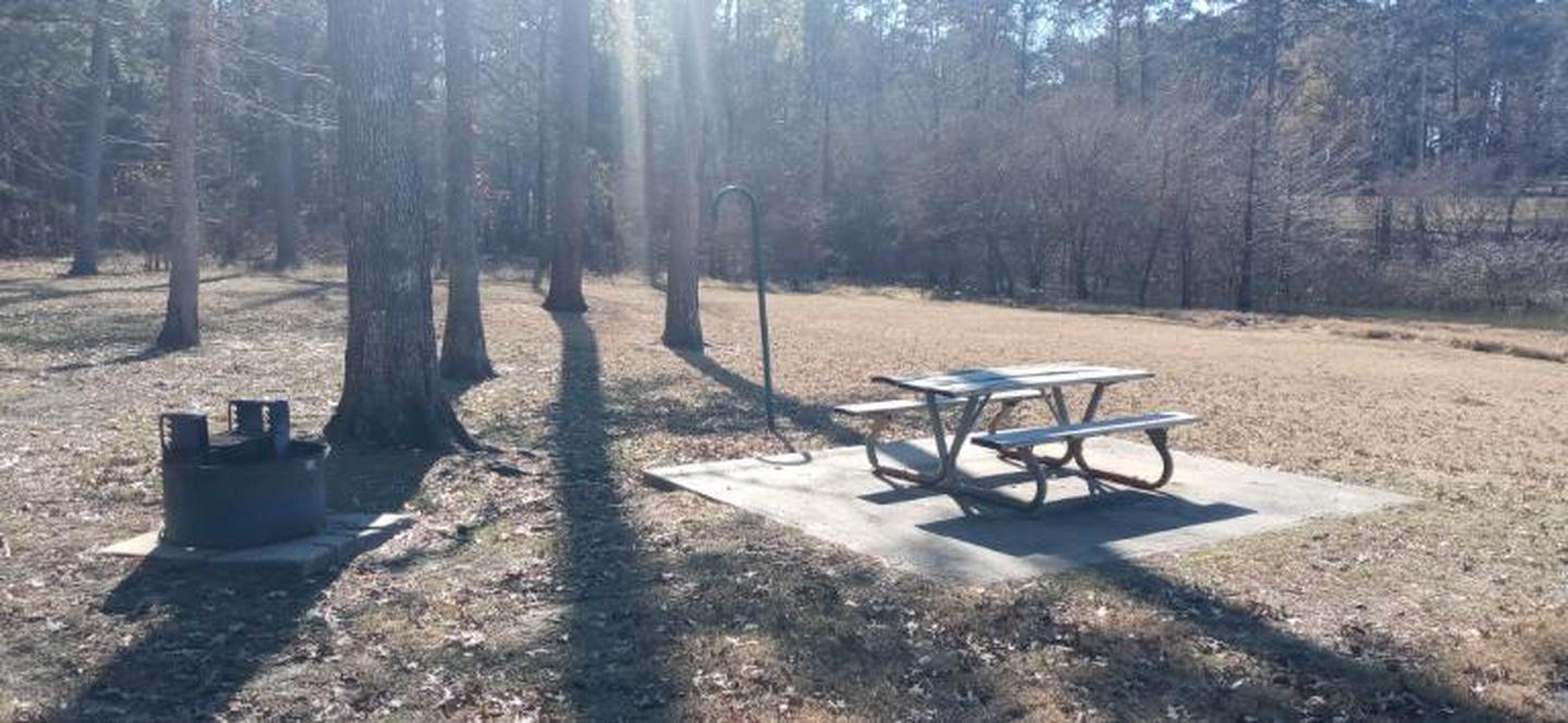 A photo of Site 27 of Loop LOOA at SAN AUGUSTINE with Picnic Table, Fire Pit, Lantern Pole, Shade, Waterfront