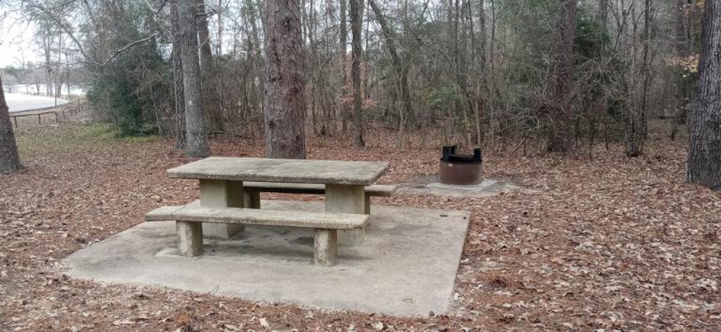 A photo of Site 32 of Loop LOOB at SAN AUGUSTINE with Picnic Table, Fire Pit, Shade