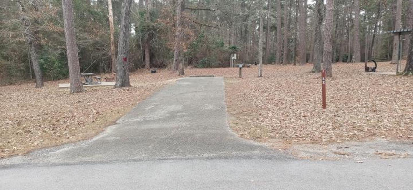 A photo of Site 32 of Loop LOOB at SAN AUGUSTINE with Picnic Table, Electricity Hookup, Fire Pit, Water Hookup, Shade