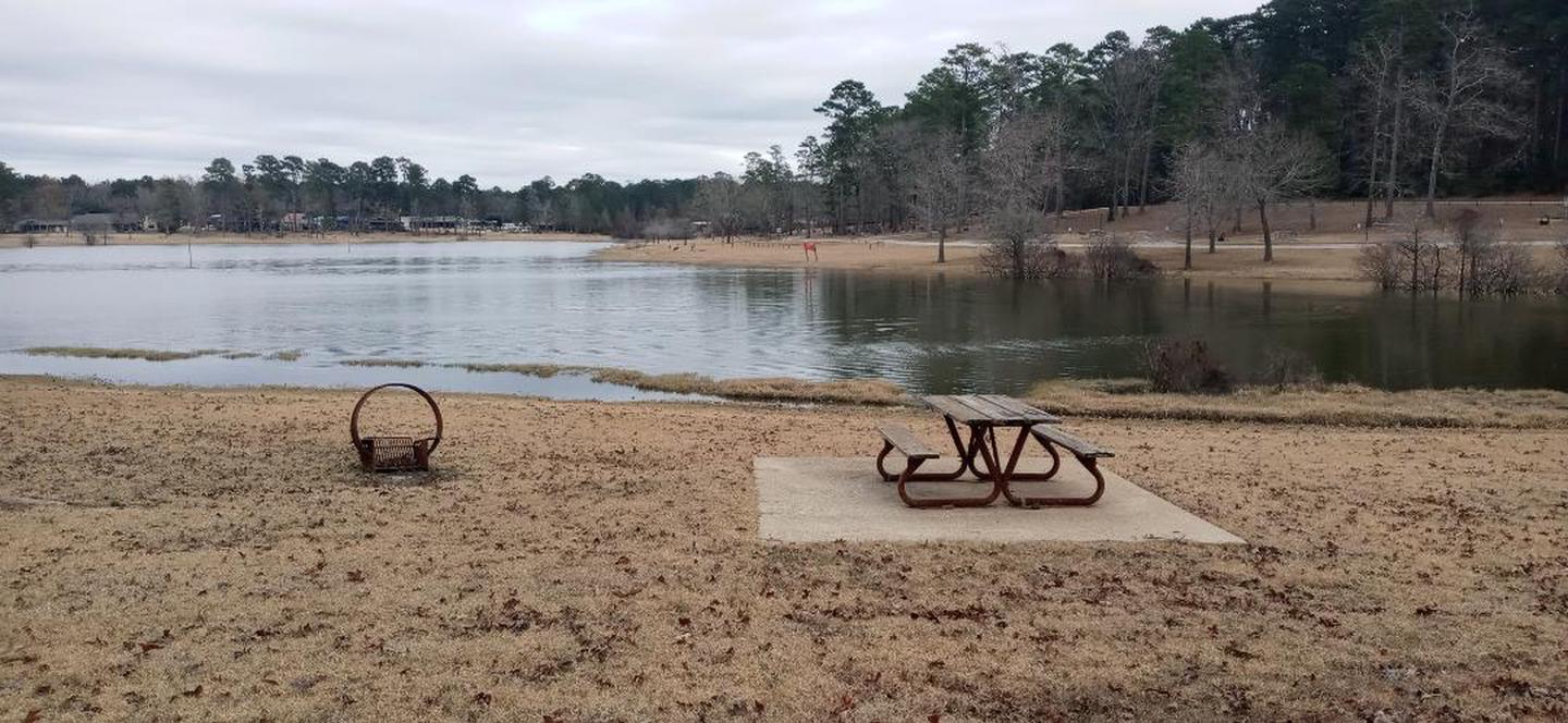 A photo of Site 36 of Loop LOOC at SAN AUGUSTINE with Picnic Table, Fire Pit, Waterfront