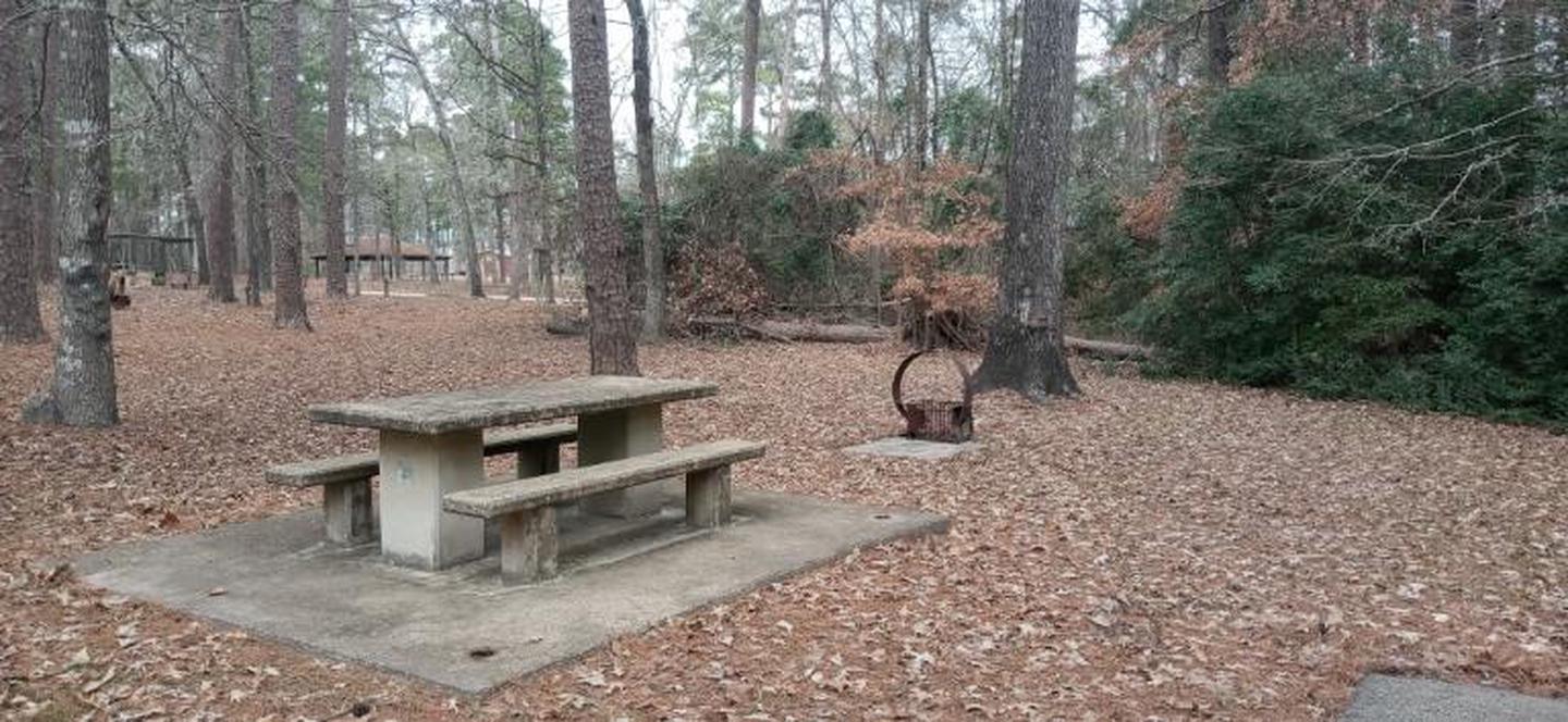 A photo of Site 29 of Loop LOOB at SAN AUGUSTINE with Picnic Table, Fire Pit, Shade