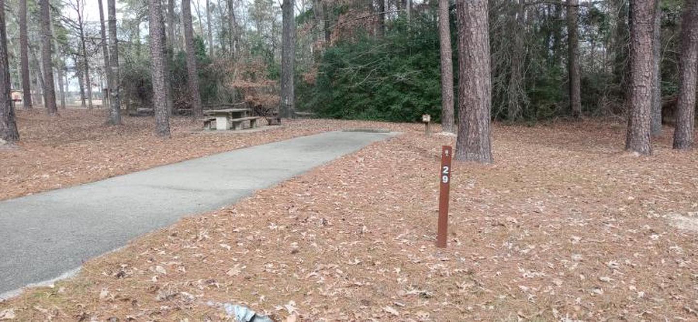 A photo of Site 29 of Loop LOOB at SAN AUGUSTINE with Picnic Table, Electricity Hookup, Fire Pit, Water Hookup, Shade