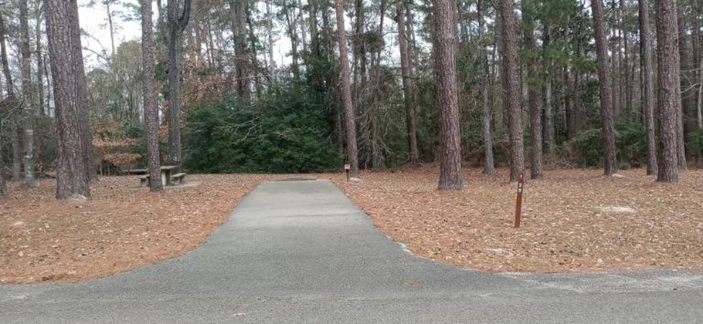 A photo of Site 29 of Loop LOOB at SAN AUGUSTINE with Picnic Table, Fire Pit, Electricity Hookup, Water Hookup, Shade