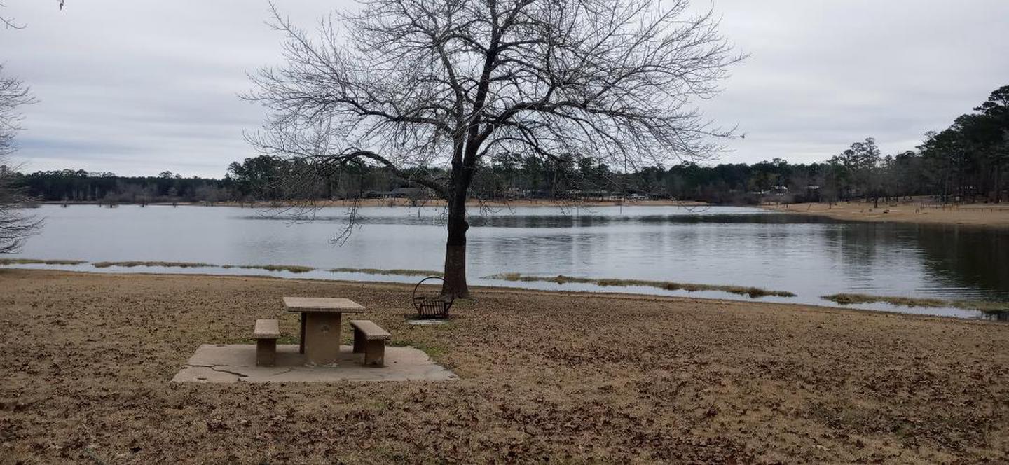 A photo of Site 40 of Loop LOOC at SAN AUGUSTINE with Picnic Table, Waterfront, Fire Pit, Shade