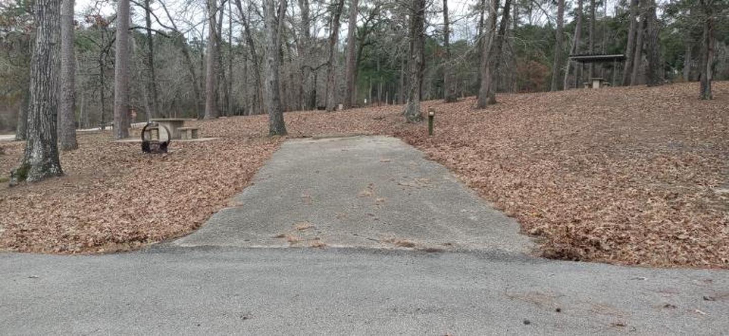 A photo of Site 39 of Loop LOOC at SAN AUGUSTINE with Picnic Table, Electricity Hookup, Water Hookup, Fire Pit, Shade