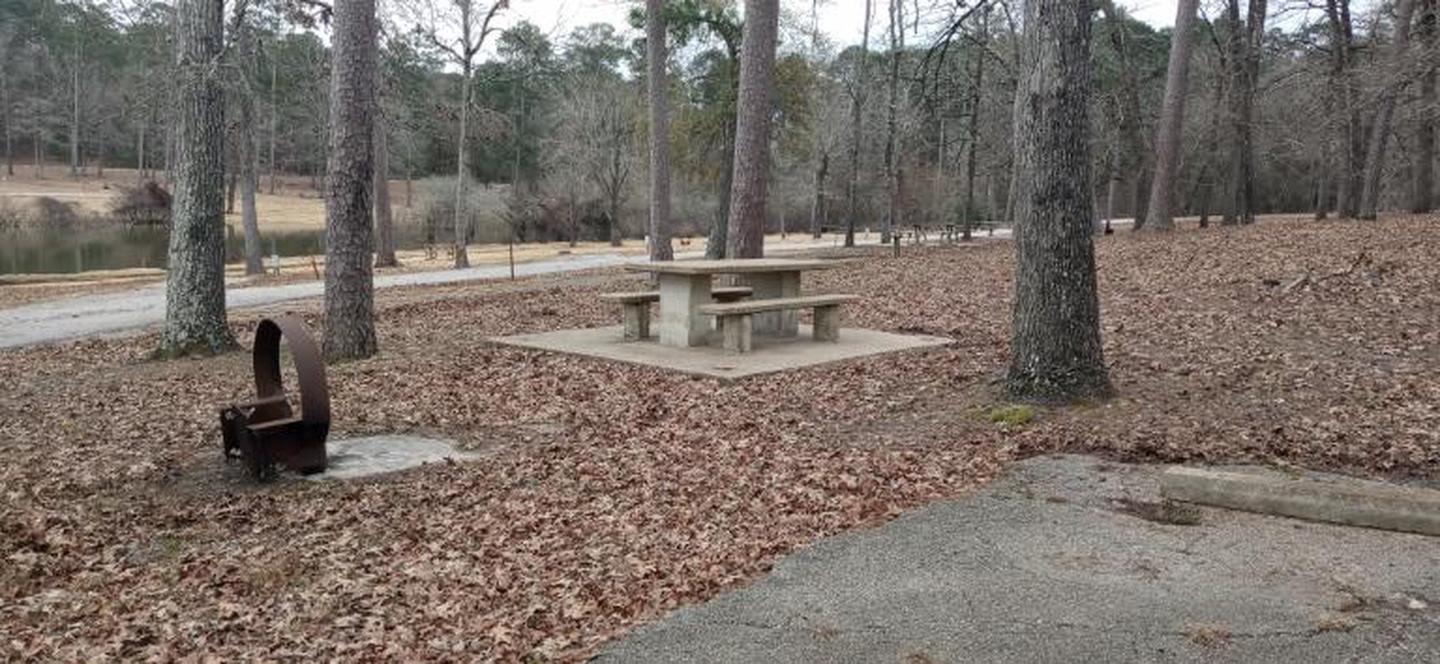 A photo of Site 39 of Loop LOOC at SAN AUGUSTINE with Picnic Table, Fire Pit, Shade