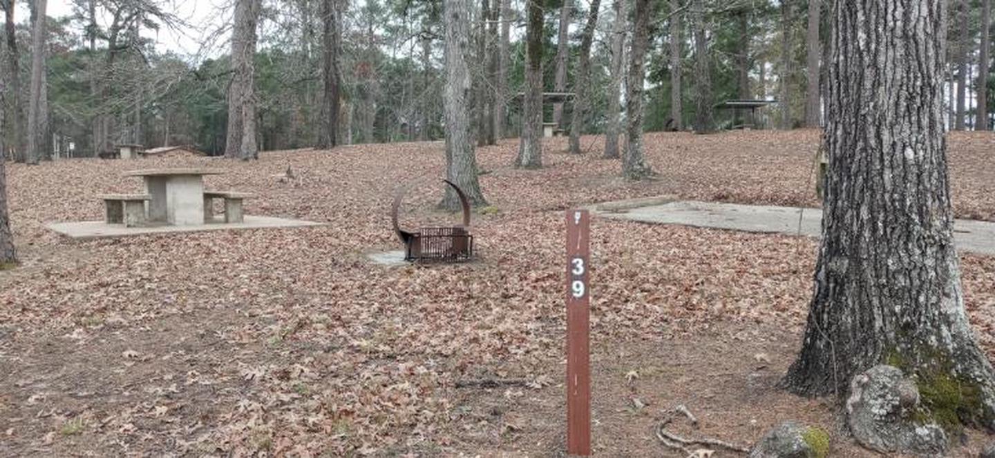 A photo of Site 39 of Loop LOOC at SAN AUGUSTINE with Picnic Table, Fire Pit, Shade