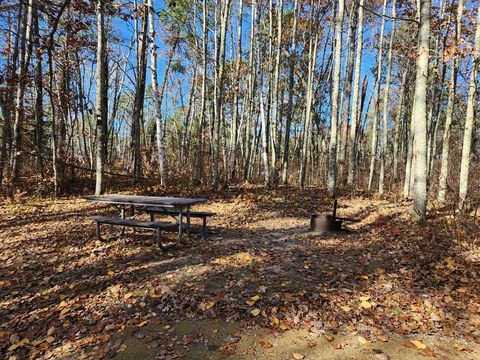 A picture of a campsite in Mabel Lake Campground with a picnic table and firering.A campsite at Mabel Lake Campground