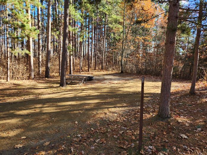 A picture of a campsite in Mabel Lake Campground with trees, a site marker, a picnic table, and a firering.A campsite at Mabel Lake Campground.