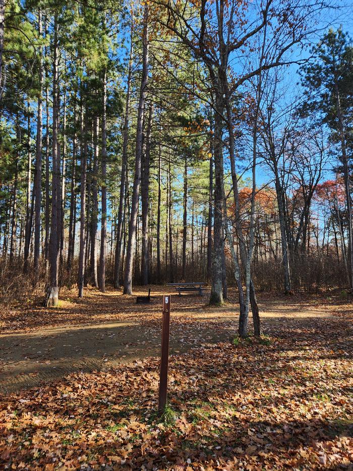 A picture of a campsite in Mabel Lake Campground with trees, a site marker, a picnic table, and a firering.A campsite in Mabel Lake Campground