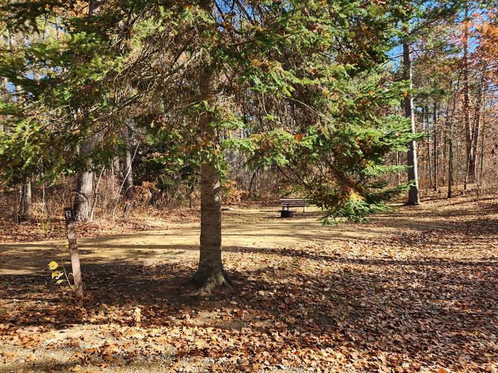 A picture of a campsite in Mabel Lake Campground with a spruce tree, a site marker, and a picnic table.Campsite in Mabel Lake Campground.