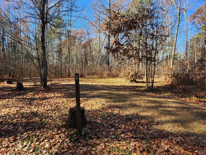 A picture of a campsite in Mabel Lake Campground with a stump and a site marker in the foreground and trees in the background.A campsite in Mabel Lake Campground.