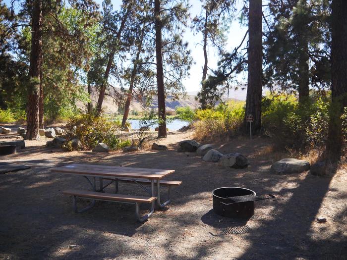 Big Pines Campsite 2 with fire ring and parking space.