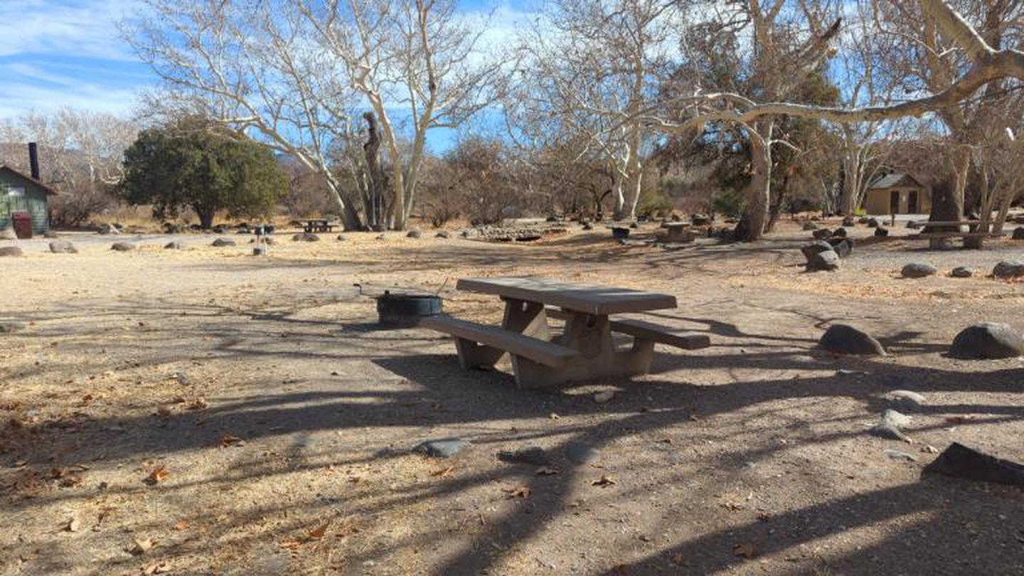 A photo of Site 15 of Loop Clear Creek at Clear Creek Campground (AZ)