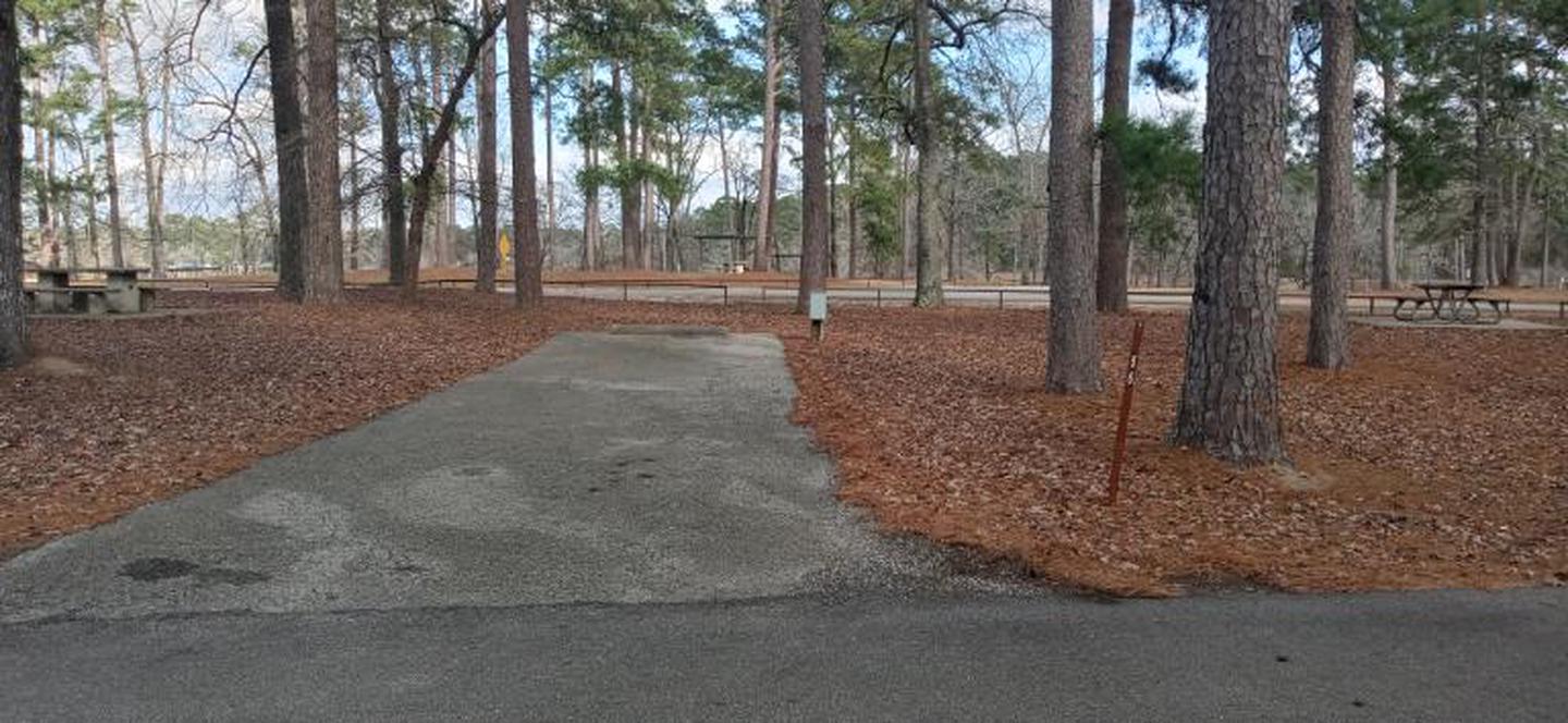 A photo of Site 56 of Loop LOOD at SAN AUGUSTINE with Picnic Table, Electricity Hookup, Water Hookup, Shade