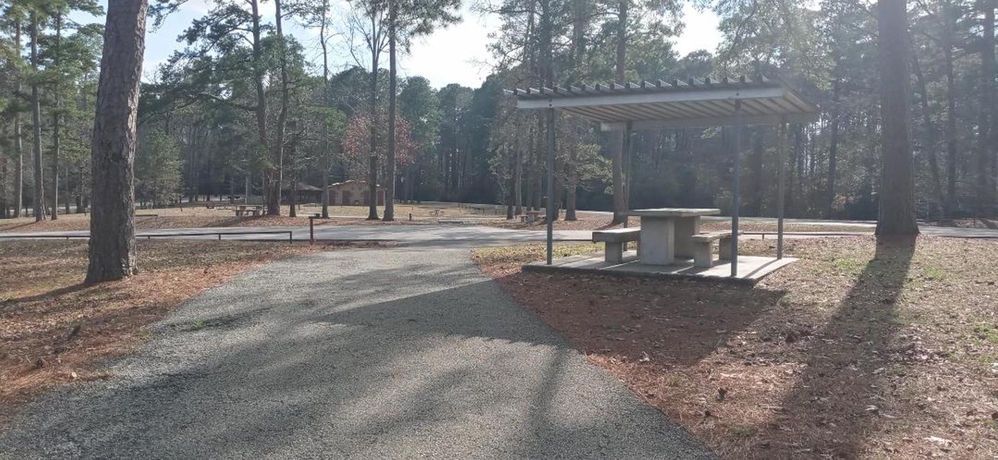 A photo of Site 49 of Loop LOOB at SAN AUGUSTINE with Picnic Table, Lean To / Shelter, Shade