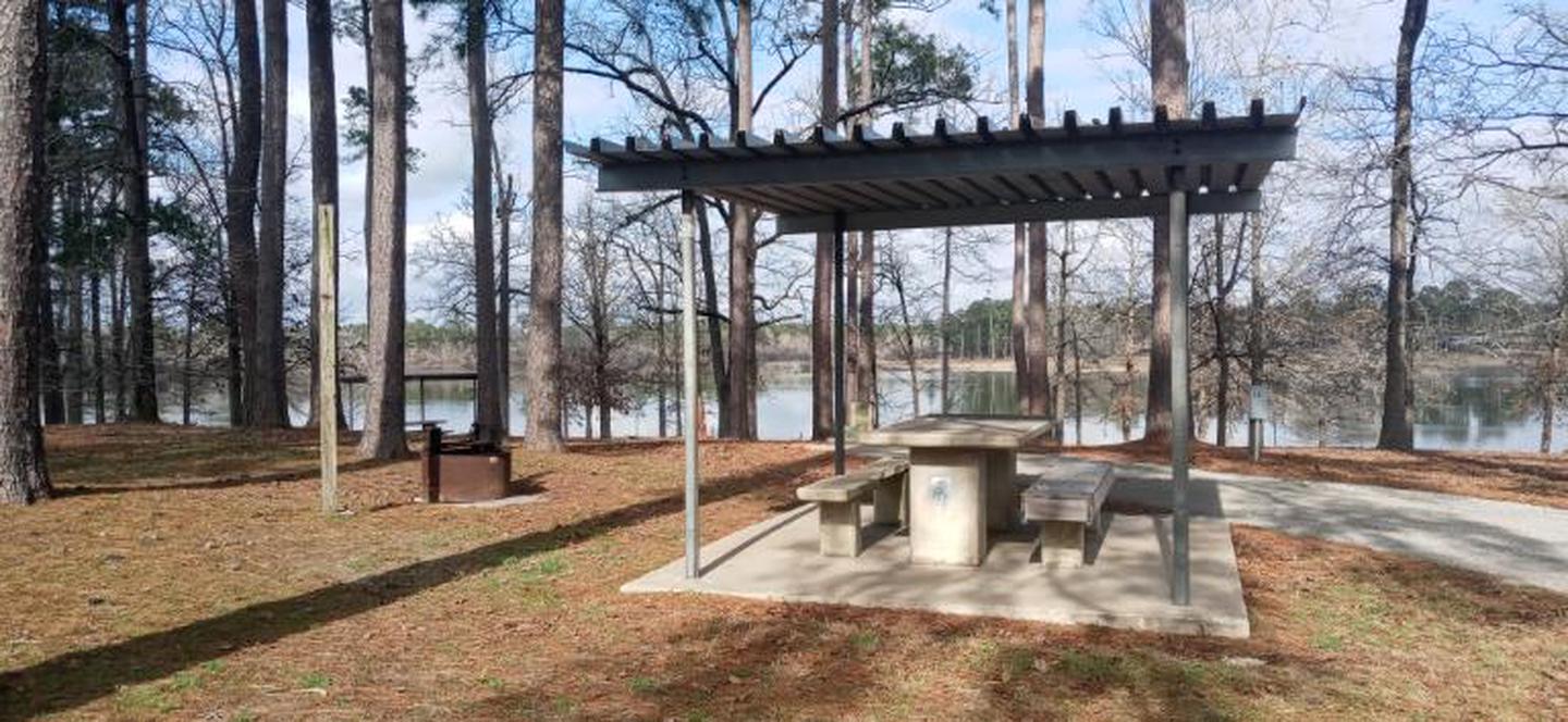 A photo of Site 49 of Loop LOOB at SAN AUGUSTINE with Picnic Table, Fire Pit, Shade, Lean To / Shelter