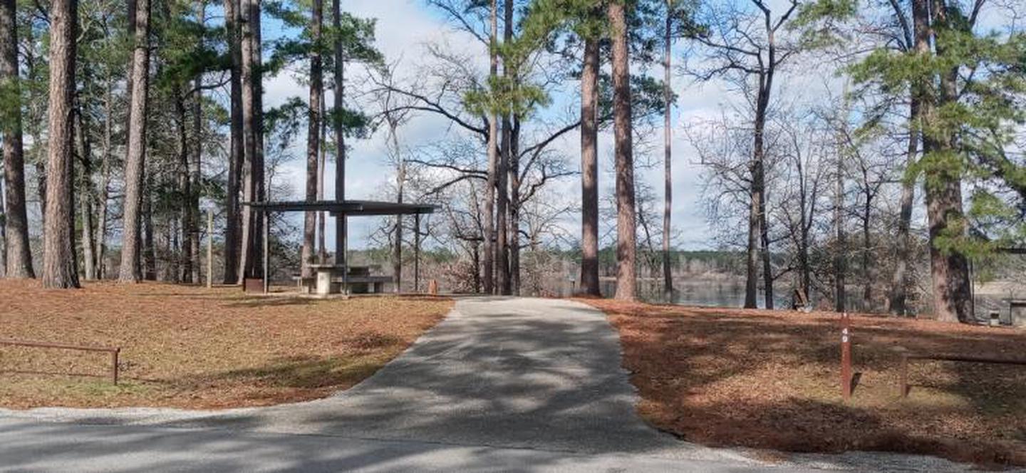 A photo of Site 49 of Loop LOOB at SAN AUGUSTINE with Picnic Table, Electricity Hookup, Water Hookup, Fire Pit, Shade, Lean To / Shelter