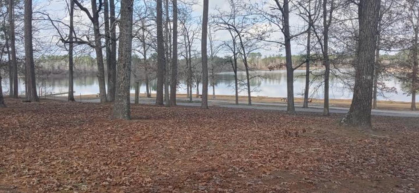 A photo of Site 48 of Loop LOOB at SAN AUGUSTINE with Shade