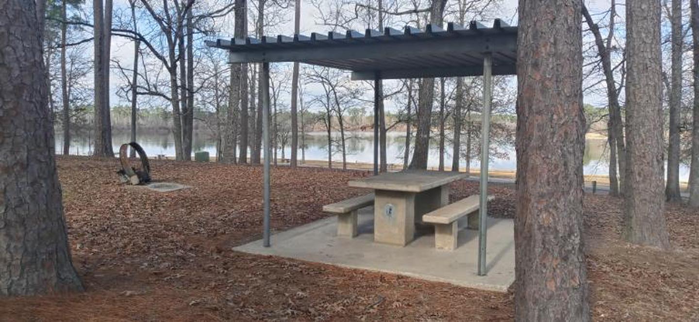 A photo of Site 48 of Loop LOOB at SAN AUGUSTINE with Picnic Table, Fire Pit, Shade, Lean To / Shelter