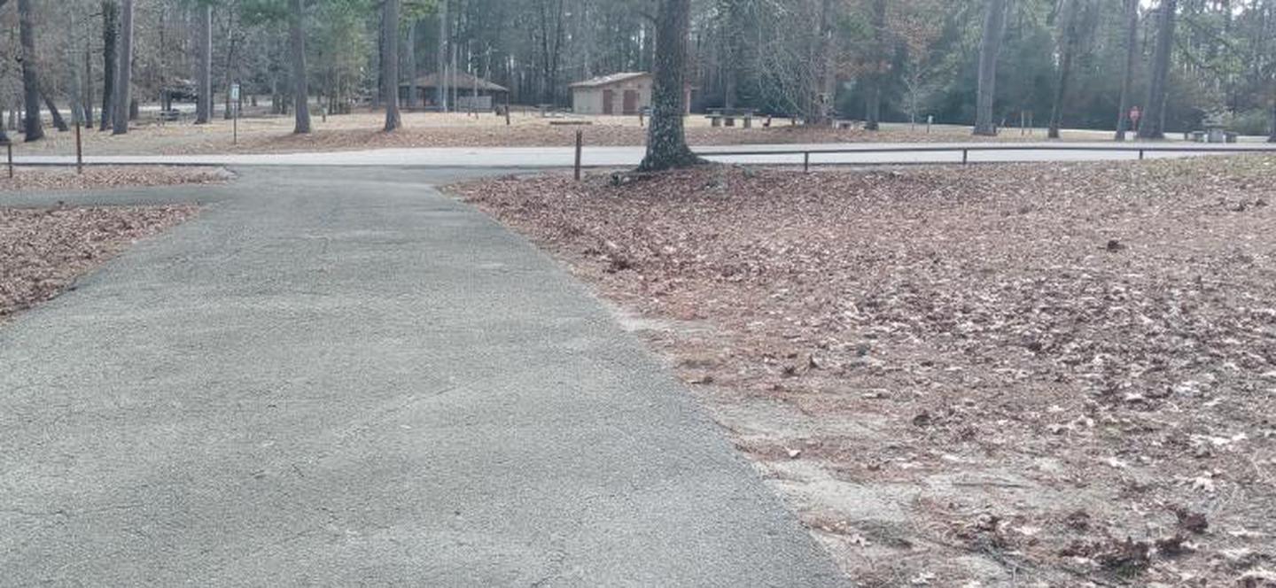 A photo of Site 48 of Loop LOOB at SAN AUGUSTINE with Shade