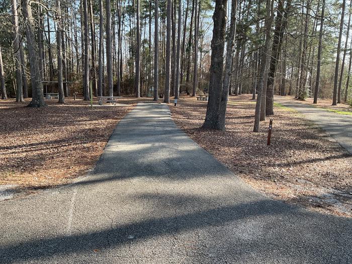 A photo of Site 79 of Loop LOOF at SAN AUGUSTINE with Picnic Table, Electricity Hookup, Fire Pit, Shade, Lantern Pole, Water Hookup