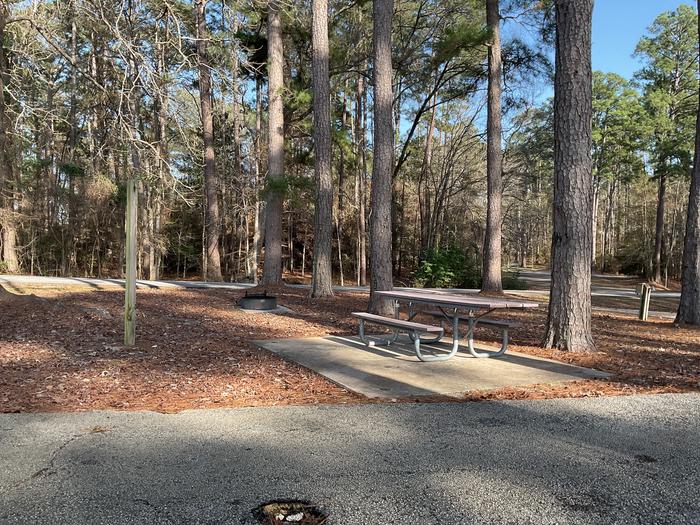 A photo of Site 79 of Loop LOOF at SAN AUGUSTINE with Picnic Table, Fire Pit, Shade, Lantern Pole