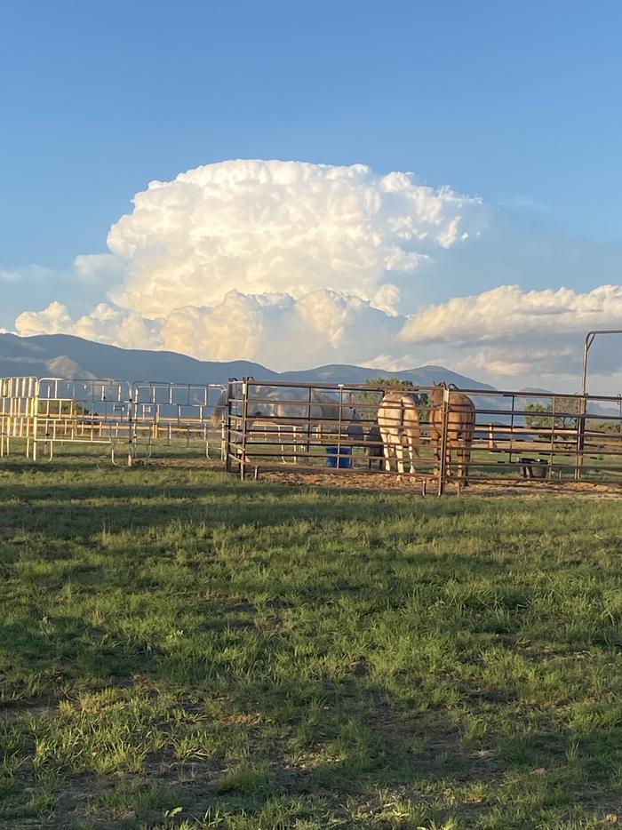 Horses in corralStorm cloud over the Capitan Mountains