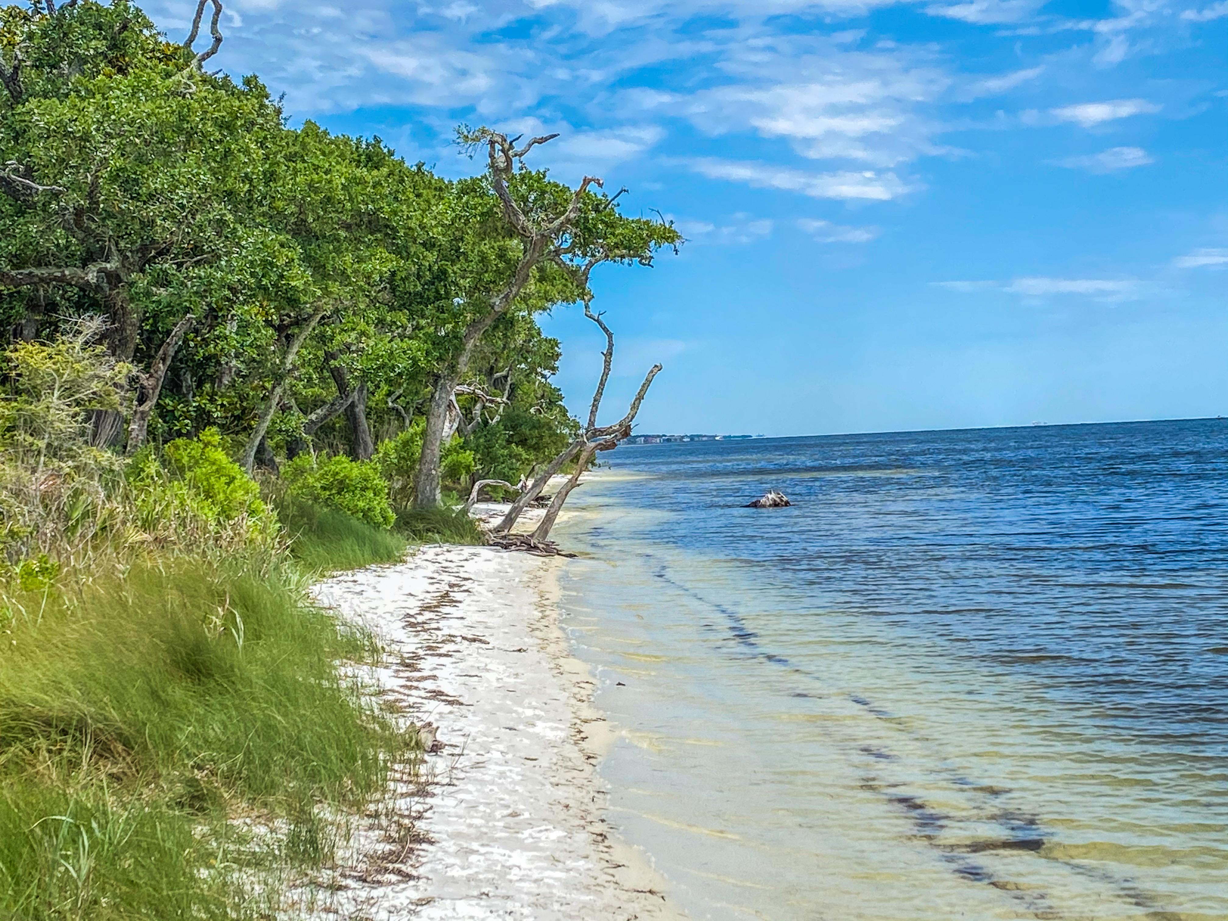 Naval Live Oaks Area