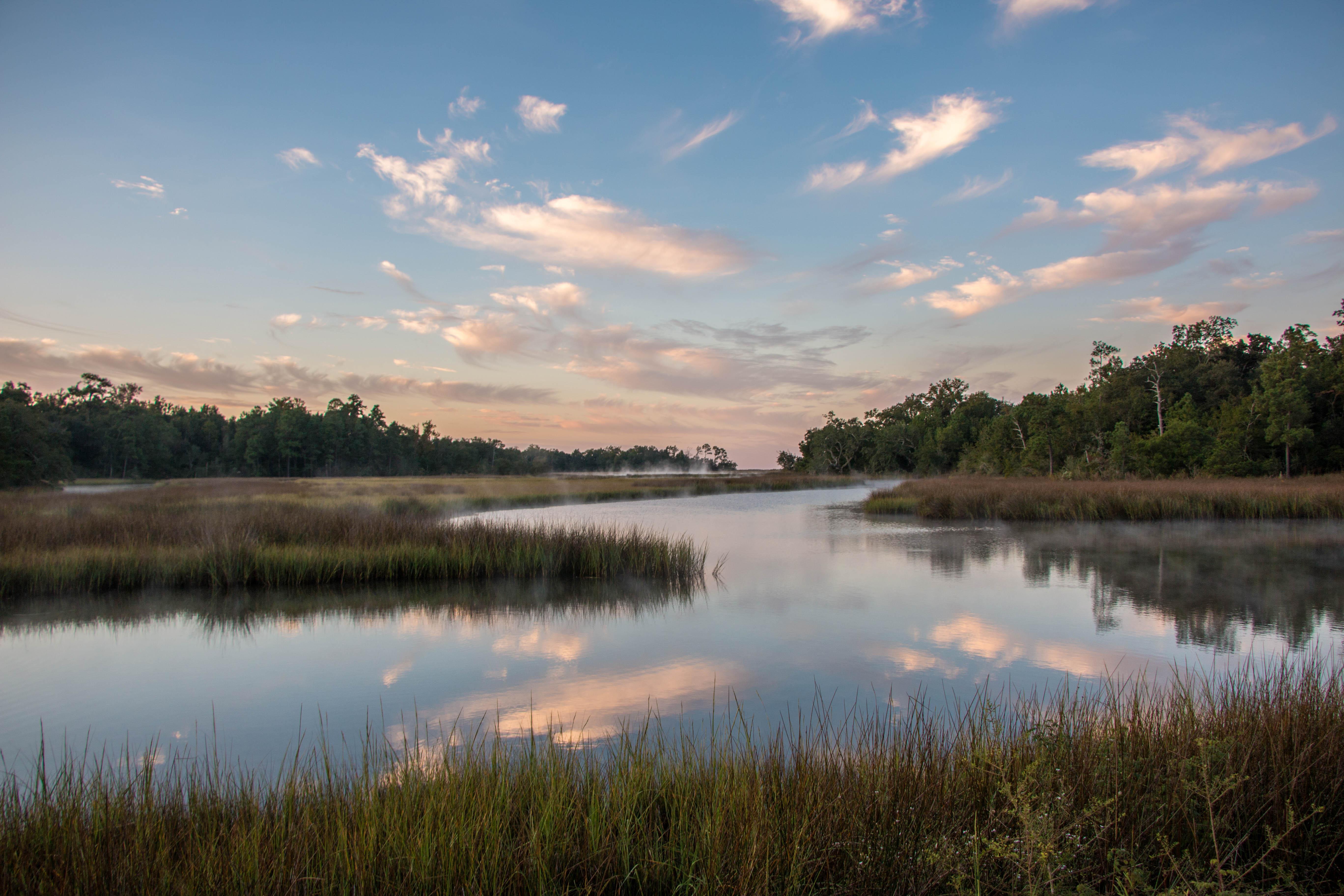 Davis Bayou