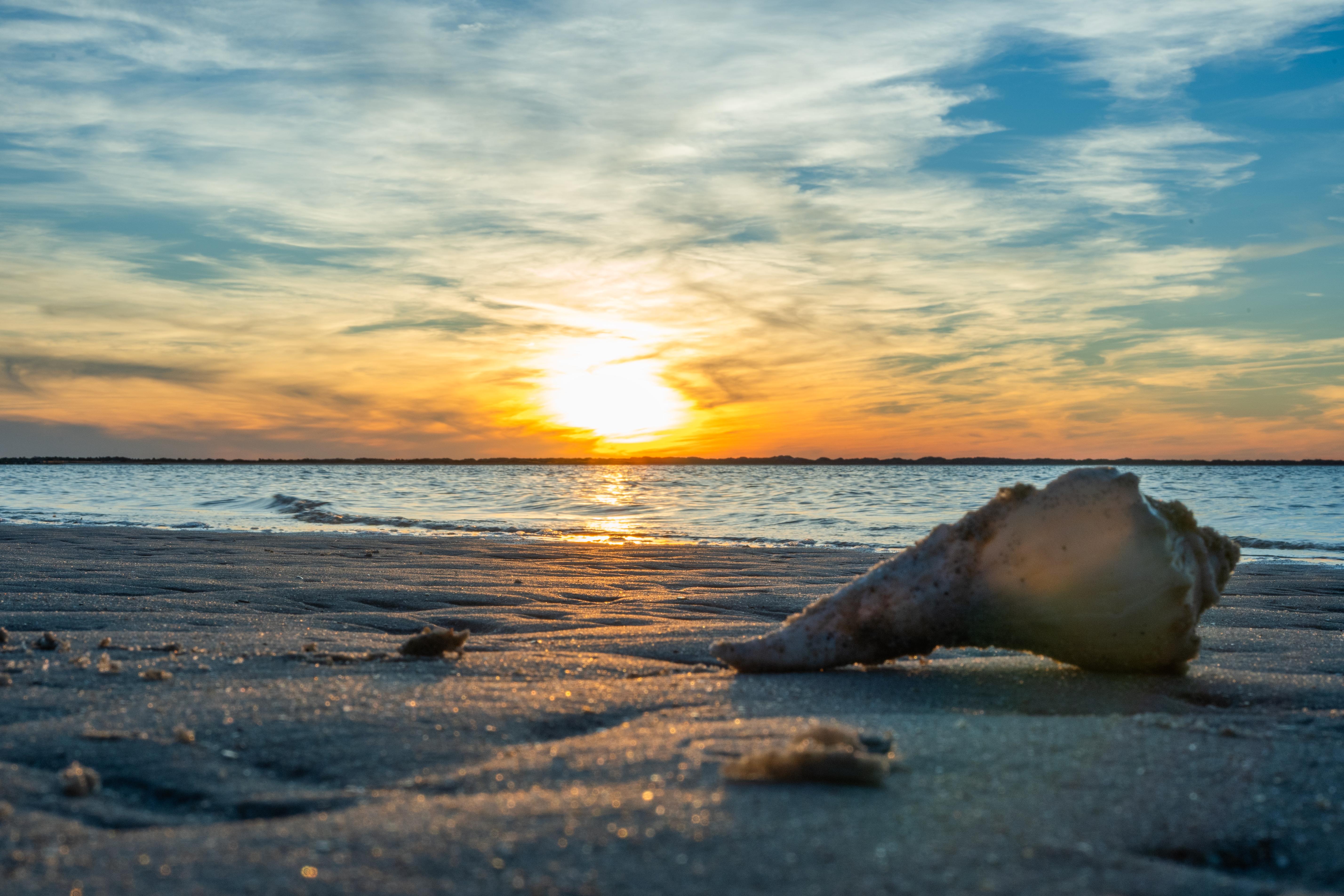 Cape Lookout National Seashore — Shelling at the Seashore