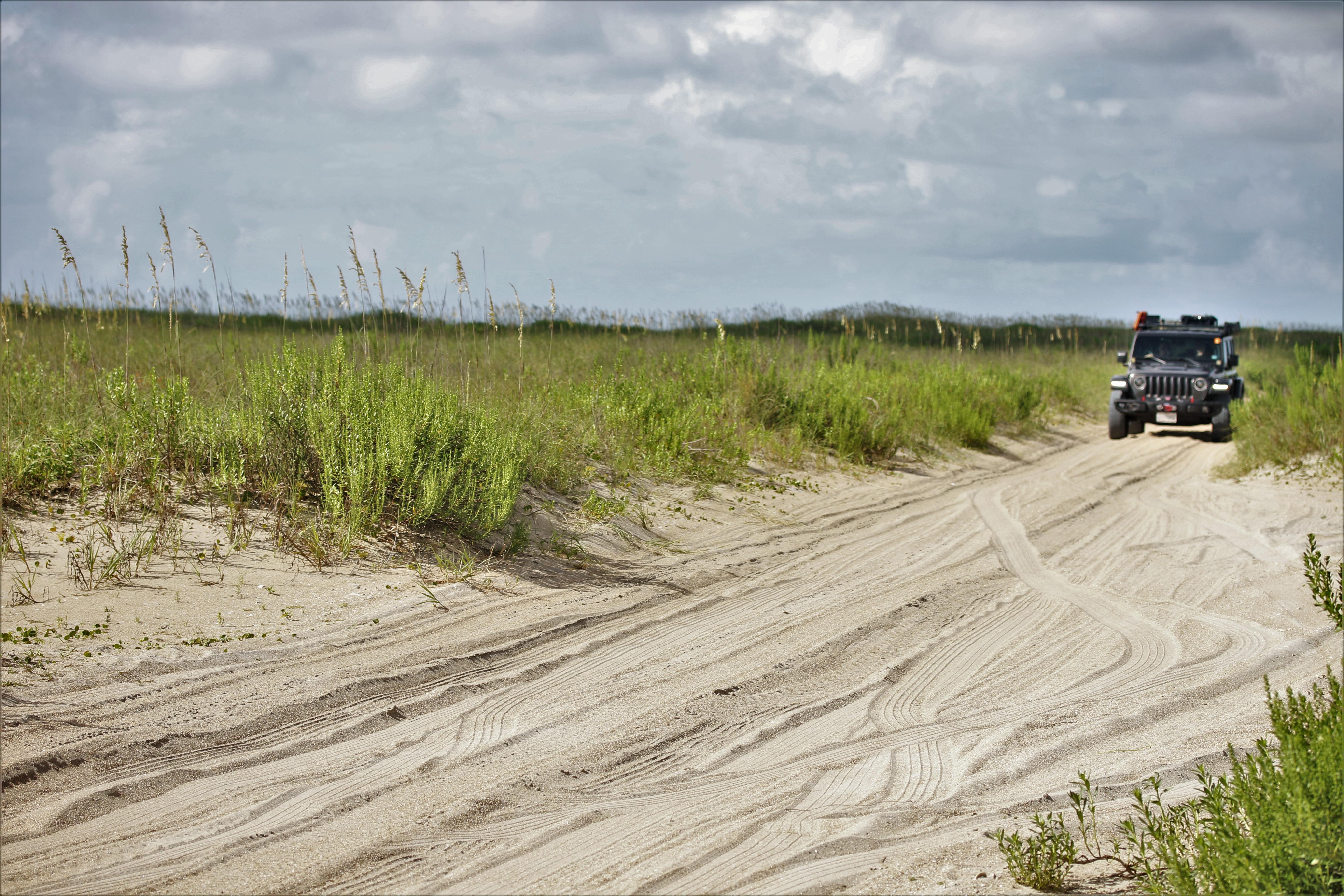 Beach Driving