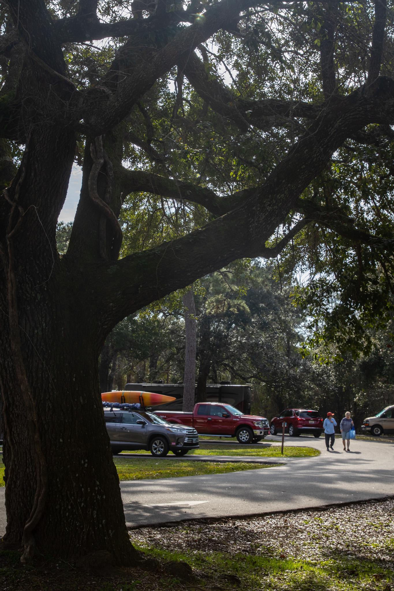 Davis Bayou Group Campground