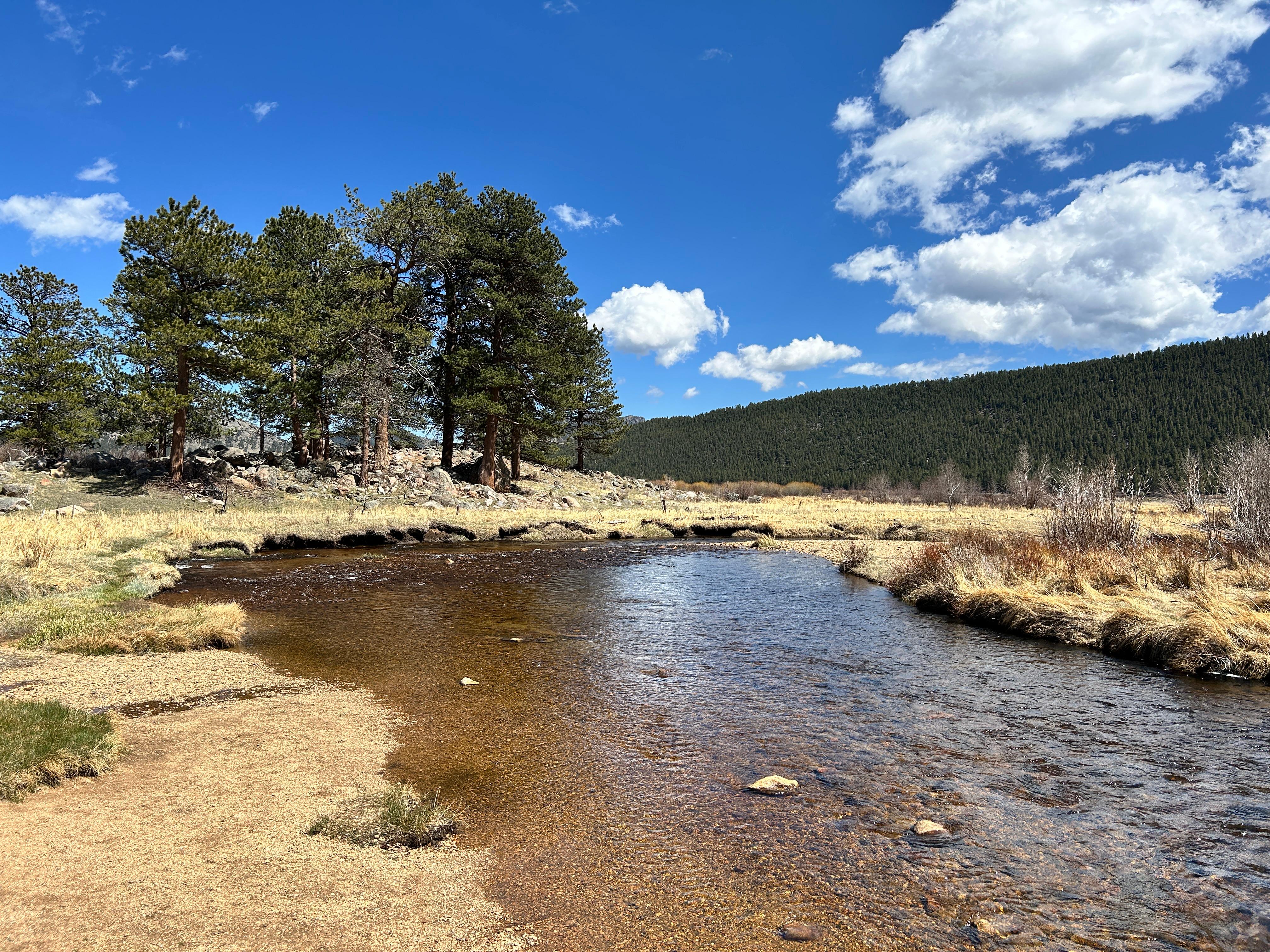 Moraine Park in May