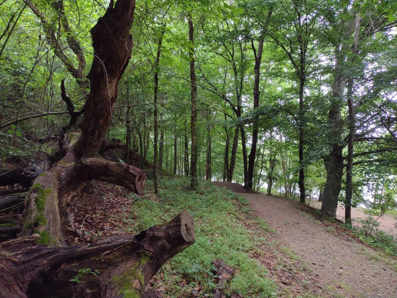 Cherokee Ford Trail in Gaffney, SC