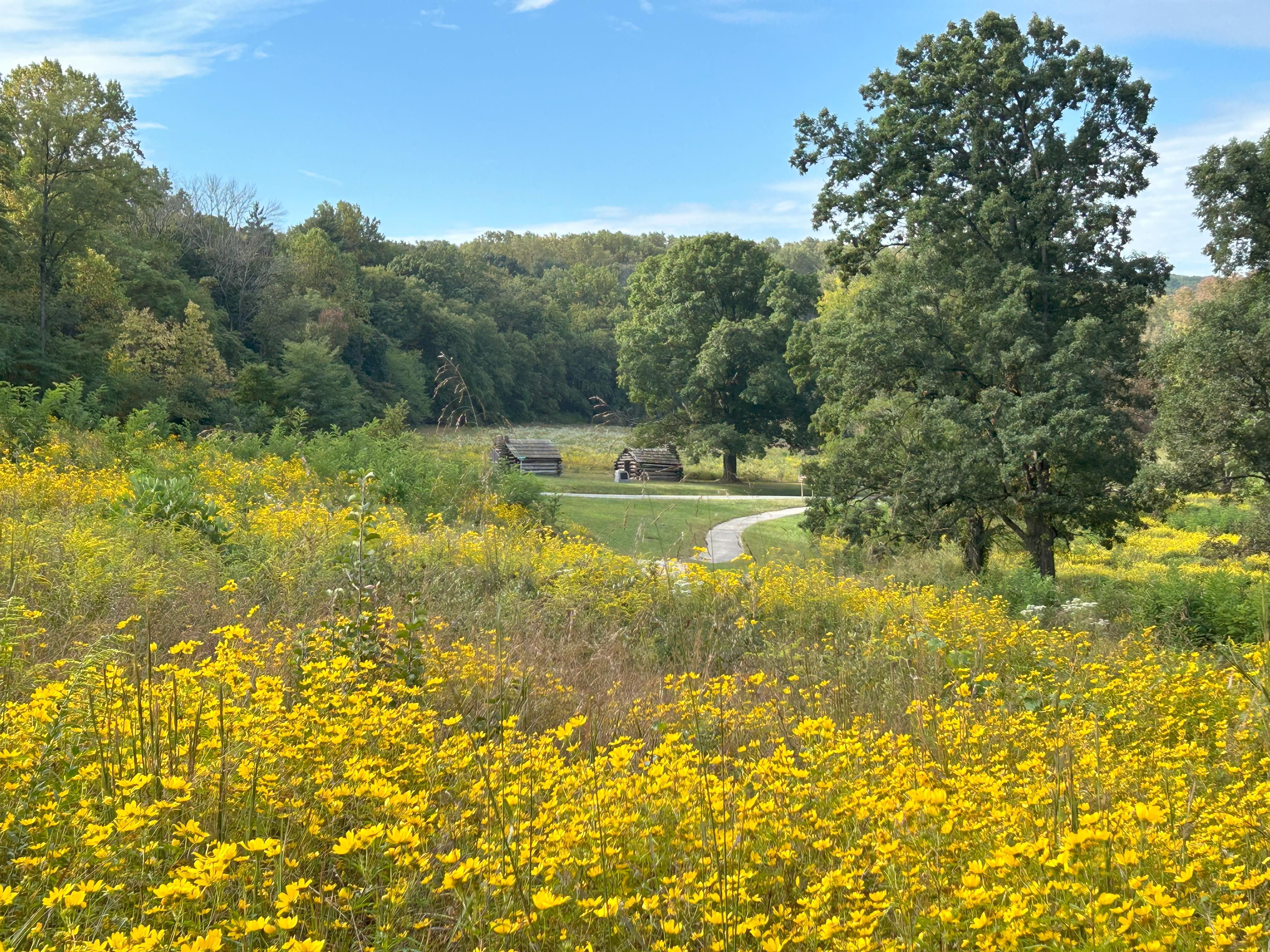 Park image