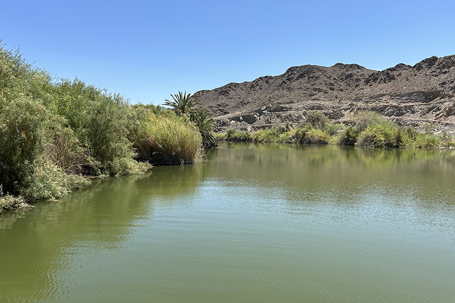 Betty's Kitchen Watchable Wildlife Viewing Area and National Recreation Trail south view