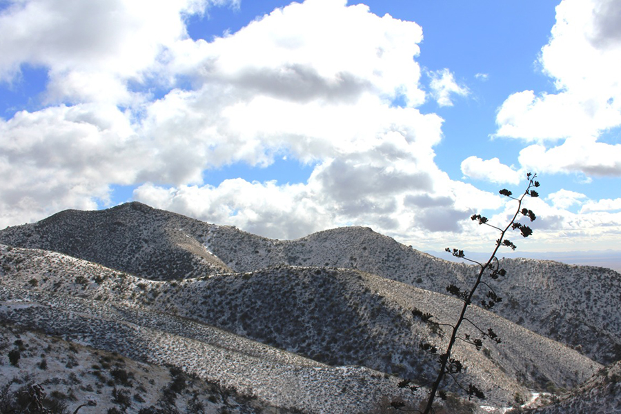 Dos Cabezas Mountains Wilderness Area
