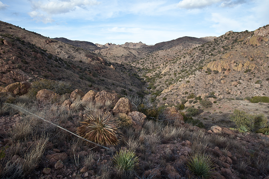 Baker Canyon Wilderness Study Area landscape