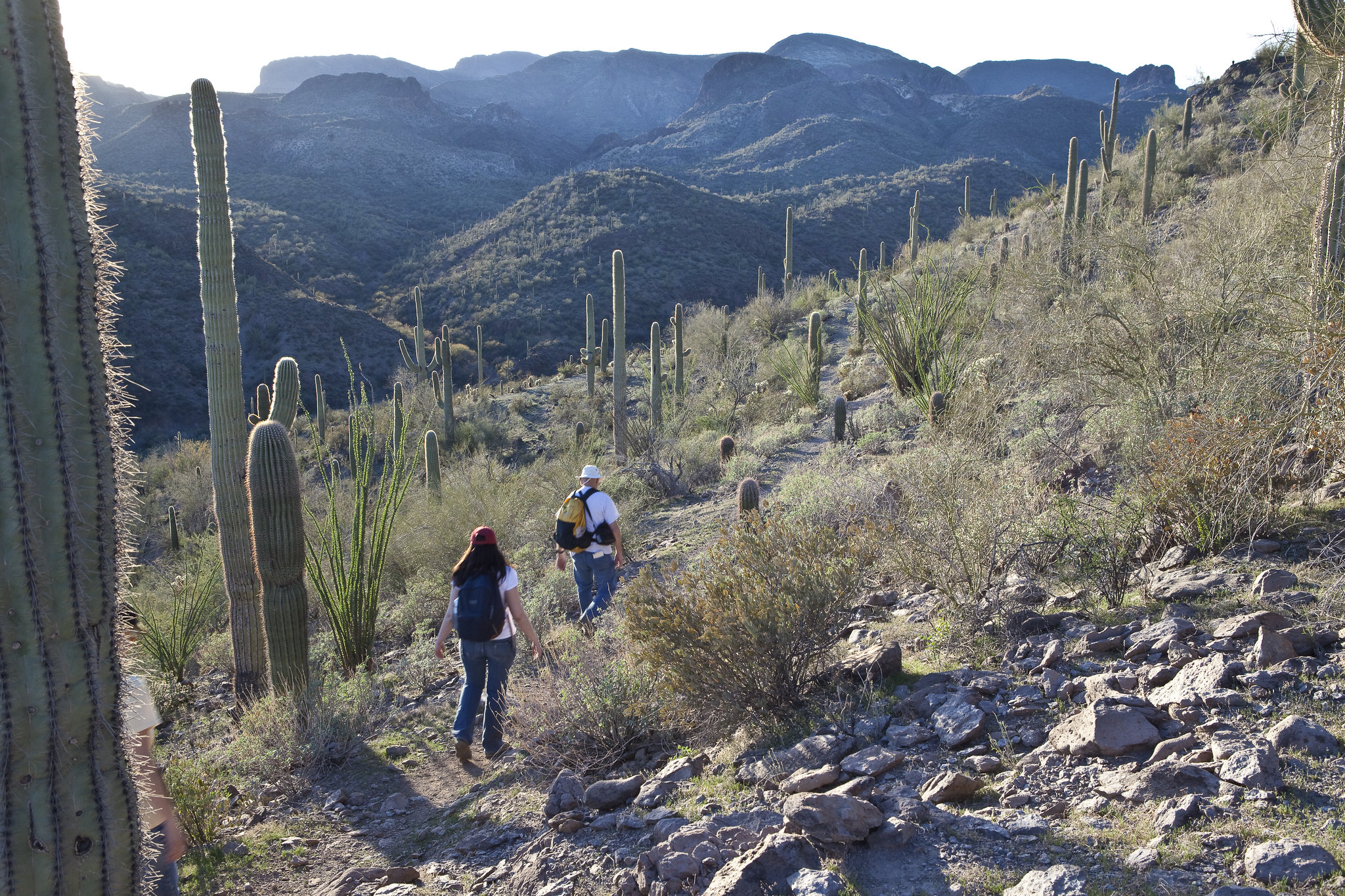Hells Canyon Wilderness